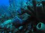 AmbergrisCaye05 - 029